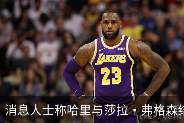 消息人士称哈里与莎拉·弗格森结成"秘密同盟"