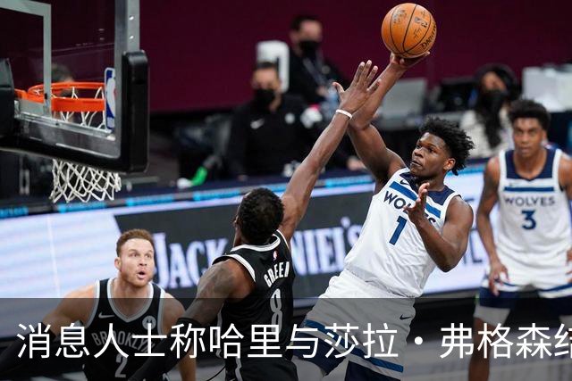 消息人士称哈里与莎拉·弗格森结成"秘密同盟"